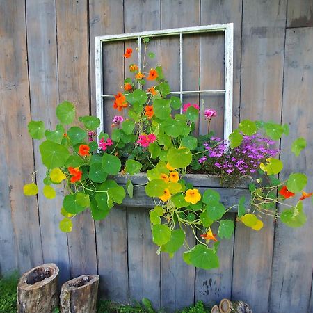 Spacious Country Retreat Close To Town And Nature, Sylvana Farm Vt Montpelier Kültér fotó