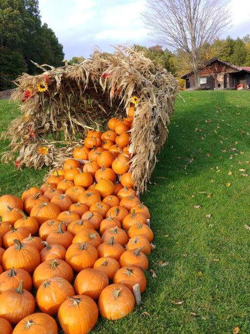 Spacious Country Retreat Close To Town And Nature, Sylvana Farm Vt Montpelier Kültér fotó