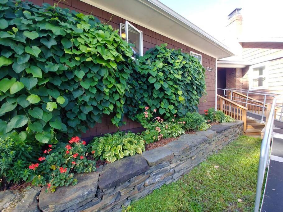 Spacious Country Retreat Close To Town And Nature, Sylvana Farm Vt Montpelier Kültér fotó