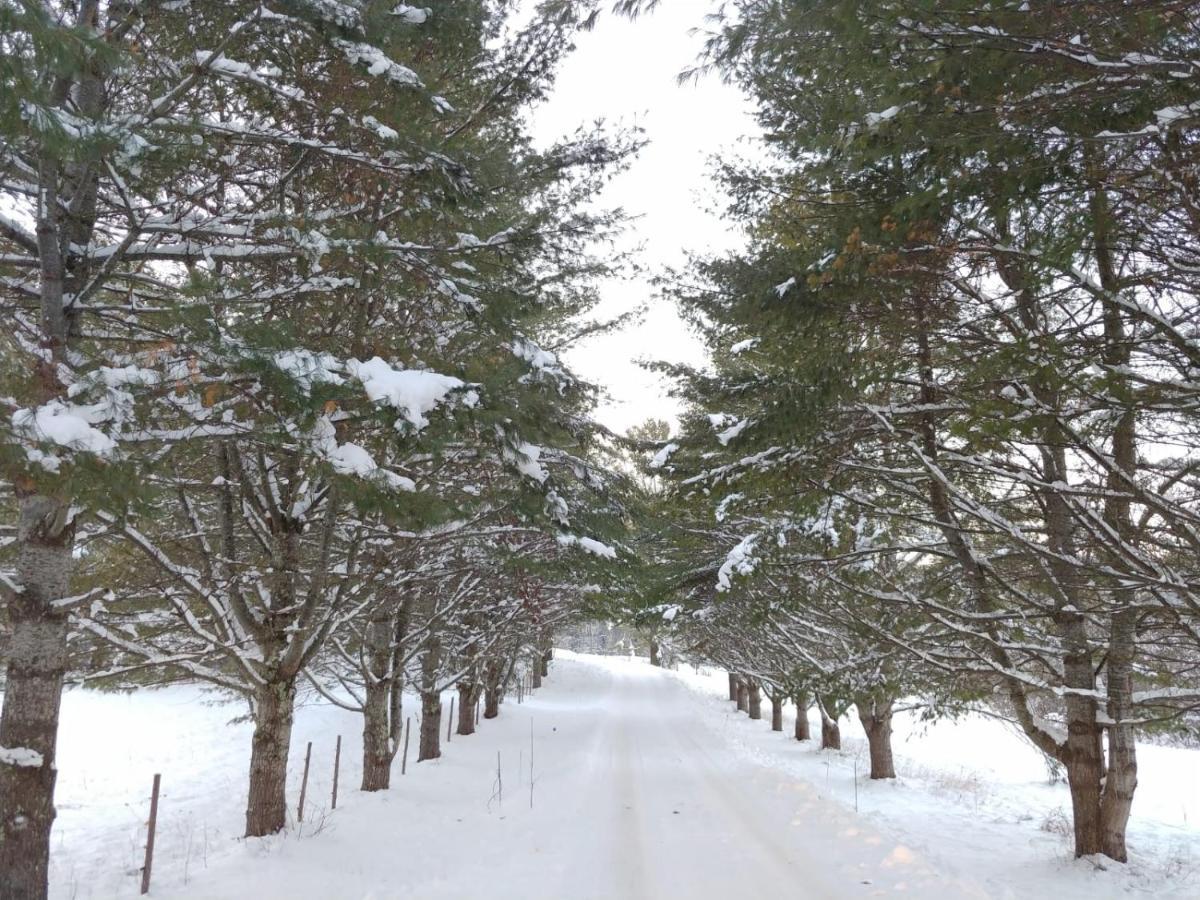 Spacious Country Retreat Close To Town And Nature, Sylvana Farm Vt Montpelier Kültér fotó