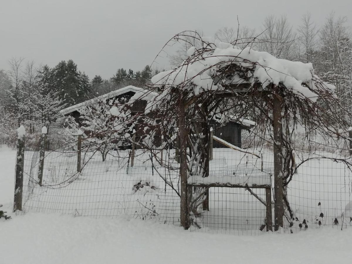 Spacious Country Retreat Close To Town And Nature, Sylvana Farm Vt Montpelier Kültér fotó