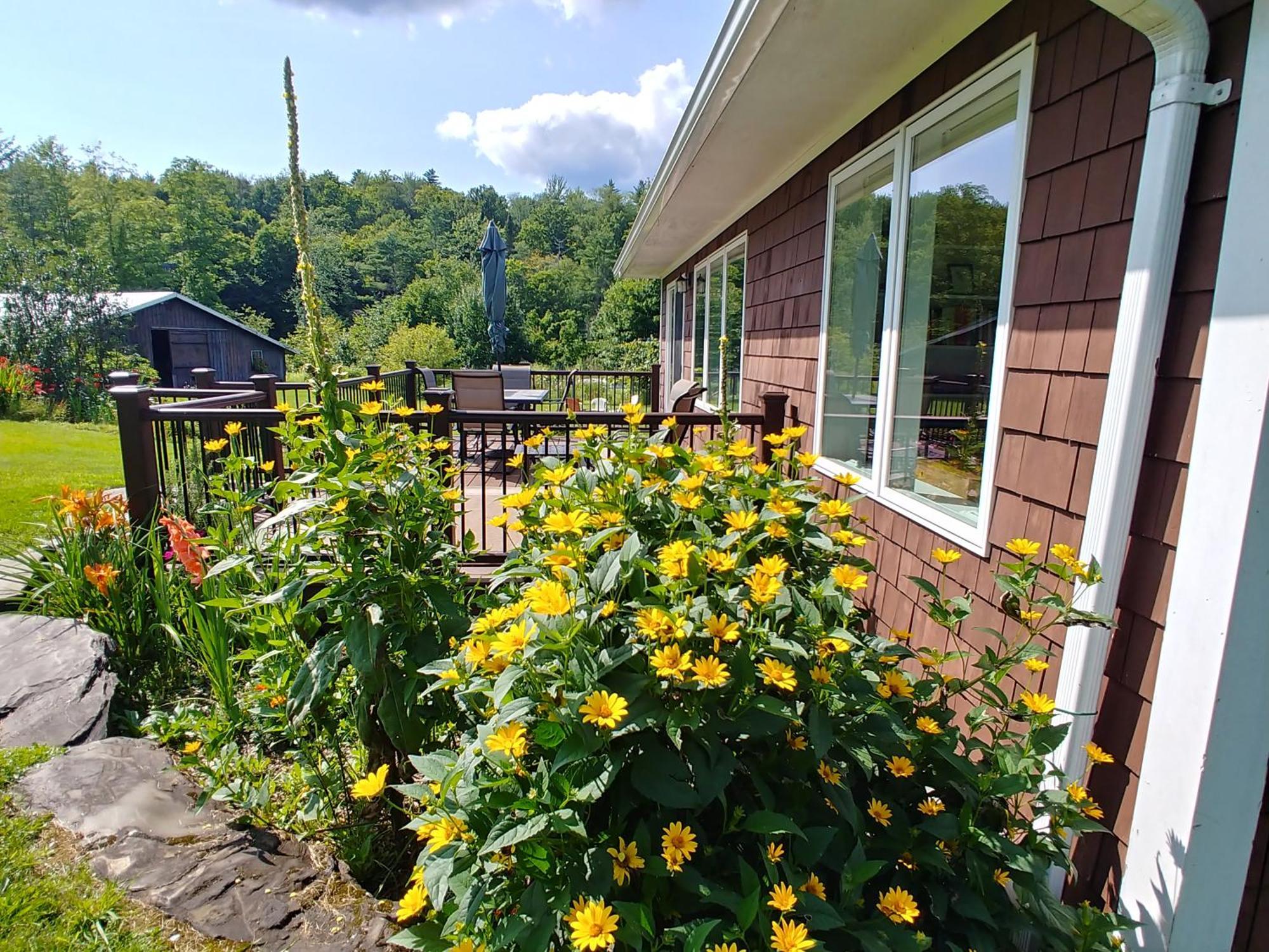 Spacious Country Retreat Close To Town And Nature, Sylvana Farm Vt Montpelier Kültér fotó